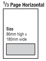 Third of page horizontal