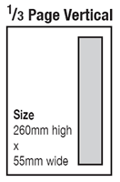 Third of page verticla